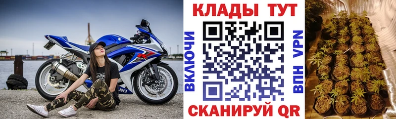 Где купить наркотики Верещагино Марихуана  Амфетамин  МЕТАМФЕТАМИН  ГАШИШ  Мефедрон  A-PVP 