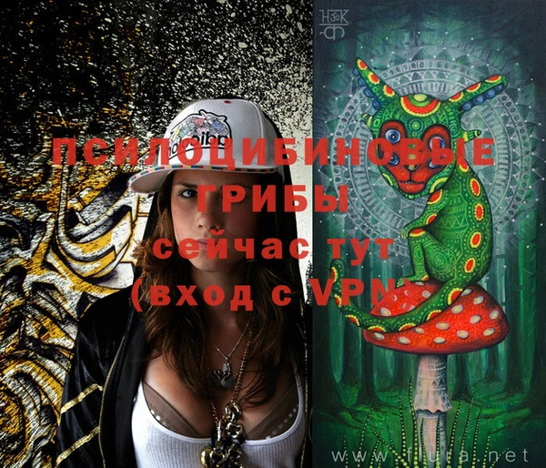 MDMA Premium VHQ Аркадак